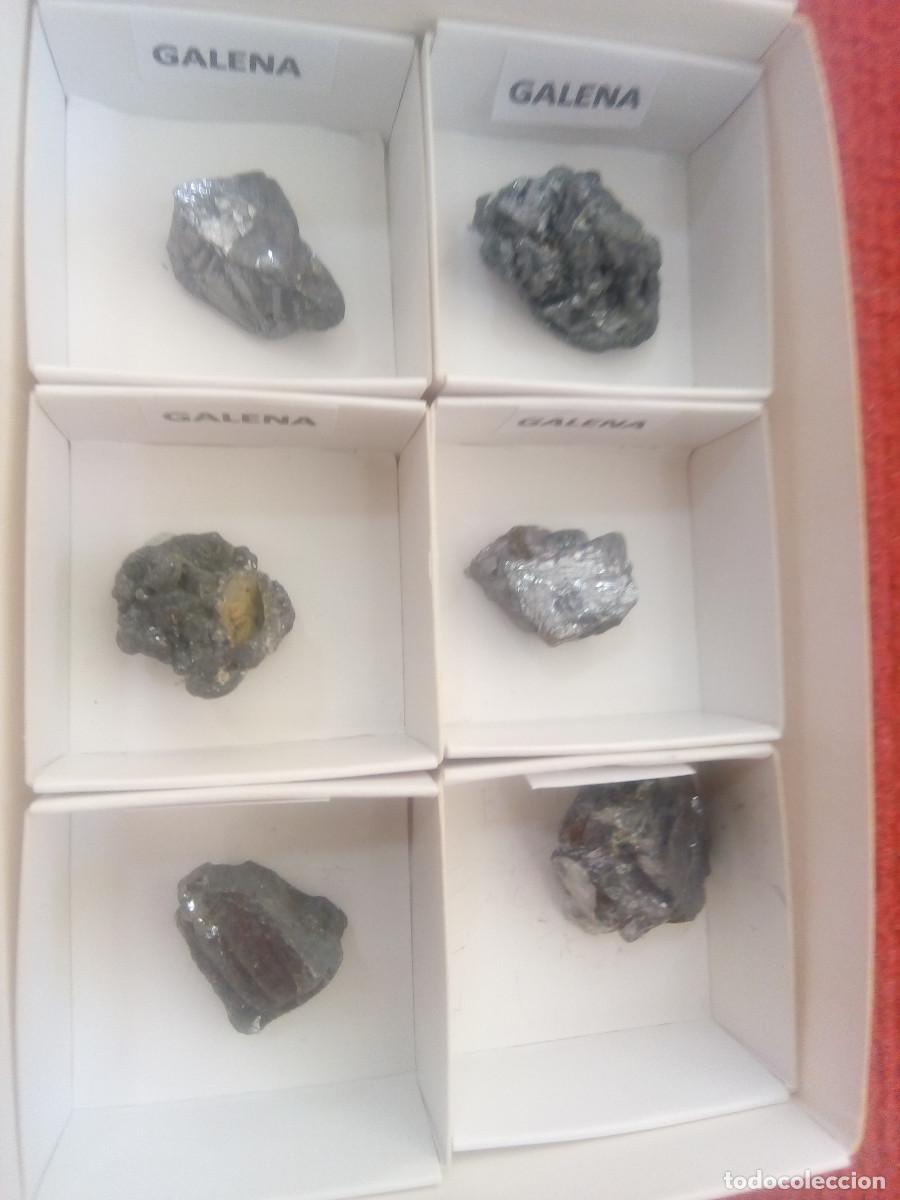 Coleccionismo de minerales: LOTE 6 GALENA - Foto 2