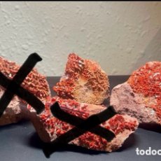 Coleccionismo de minerales: 2 PIEZAS DE MINERAL VANADINITA ROJA DE MIBLADEN, MARRUECOS