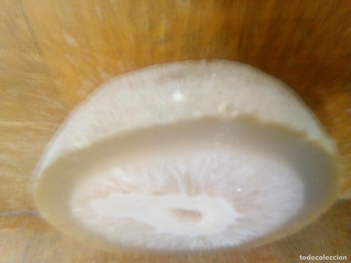 Coleccionismo de minerales: GEODA &Aacute;GATA PILIDA - Foto 2