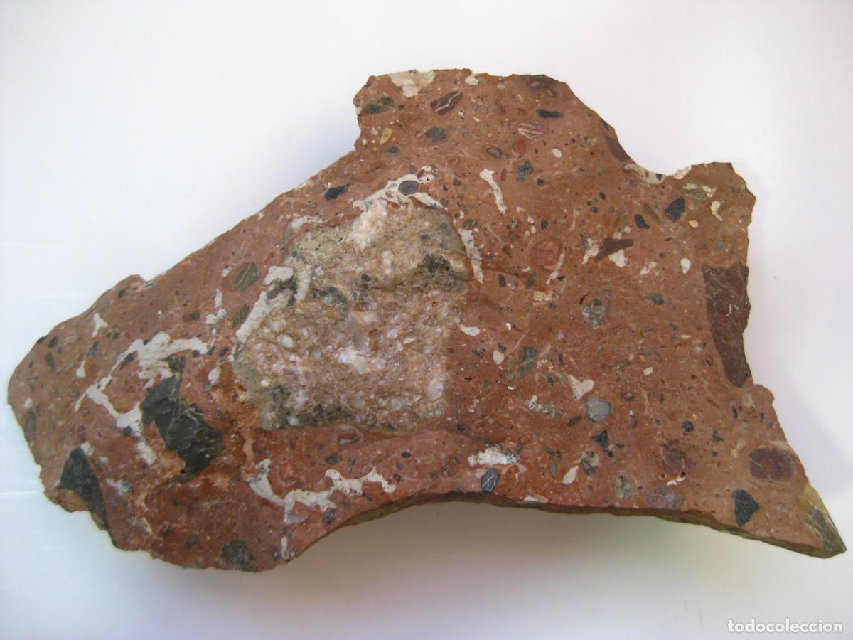 Coleccionismo de minerales: ROCA CONGLOMERADO PUDINGA - Foto 1