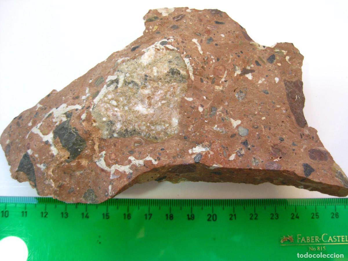 Coleccionismo de minerales: ROCA CONGLOMERADO PUDINGA - Foto 2