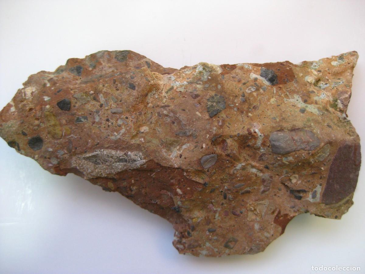Coleccionismo de minerales: ROCA CONGLOMERADO PUDINGA - Foto 3