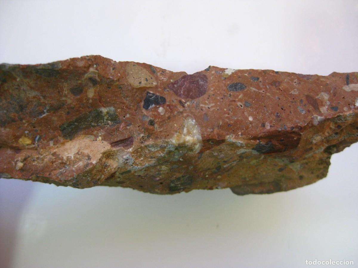 Coleccionismo de minerales: ROCA CONGLOMERADO PUDINGA - Foto 4