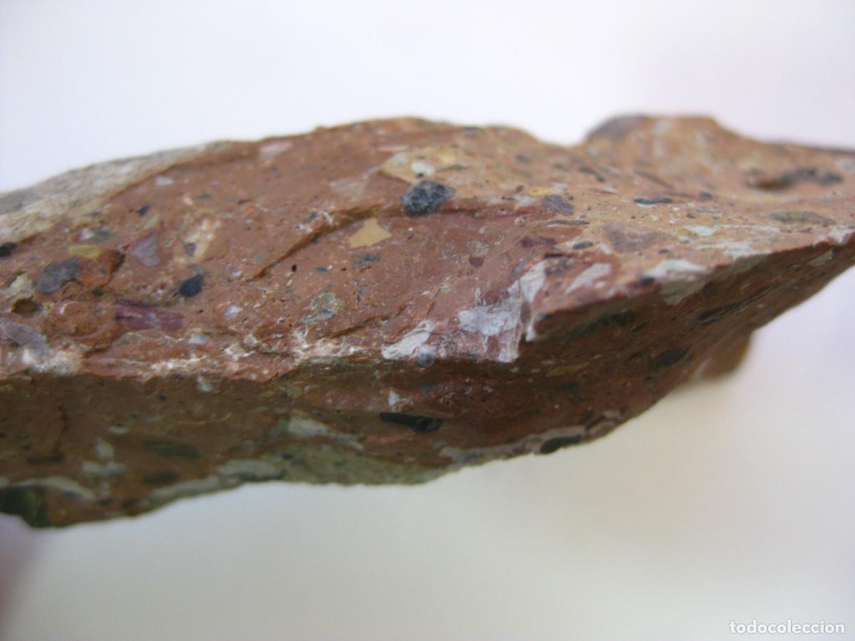 Coleccionismo de minerales: ROCA CONGLOMERADO PUDINGA - Foto 5