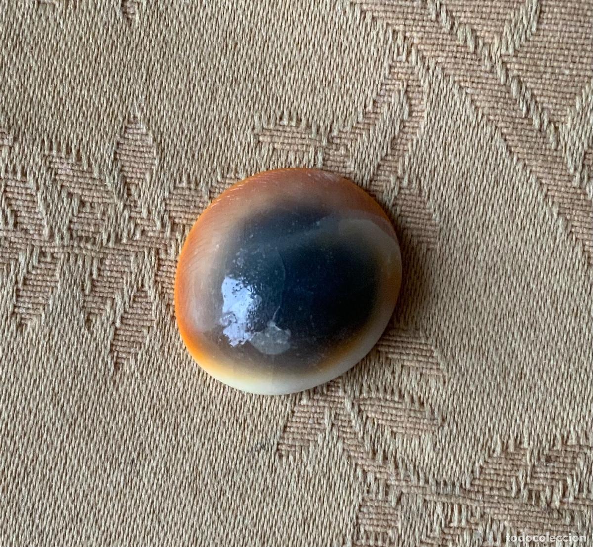 Coleccionismo de minerales: PIEDRA OJO DE SHIVA - Foto 3