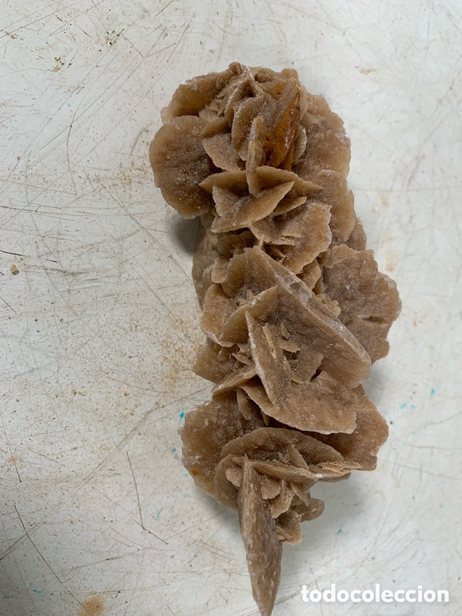 Coleccionismo de minerales: 01_ Rosa del desierto - Foto 2