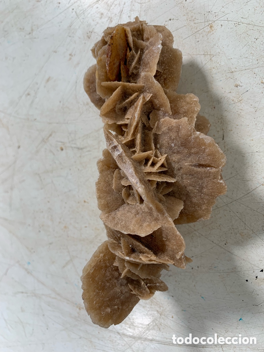 Coleccionismo de minerales: 01_ Rosa del desierto - Foto 3