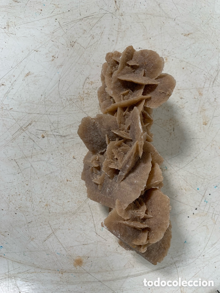 Coleccionismo de minerales: 01_ Rosa del desierto - Foto 4
