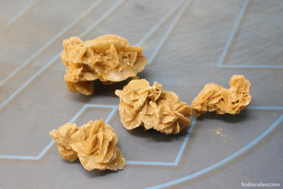 Coleccionismo de minerales: 4 Rosas del Desierto. - Foto 1