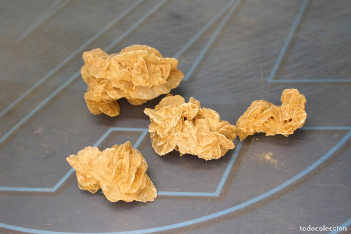 Coleccionismo de minerales: 4 Rosas del Desierto. - Foto 2