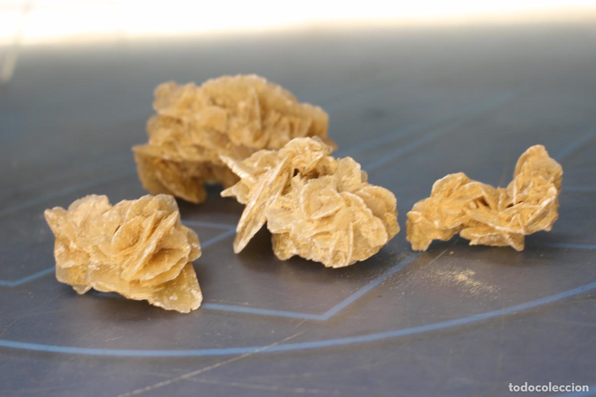 Coleccionismo de minerales: 4 Rosas del Desierto. - Foto 3