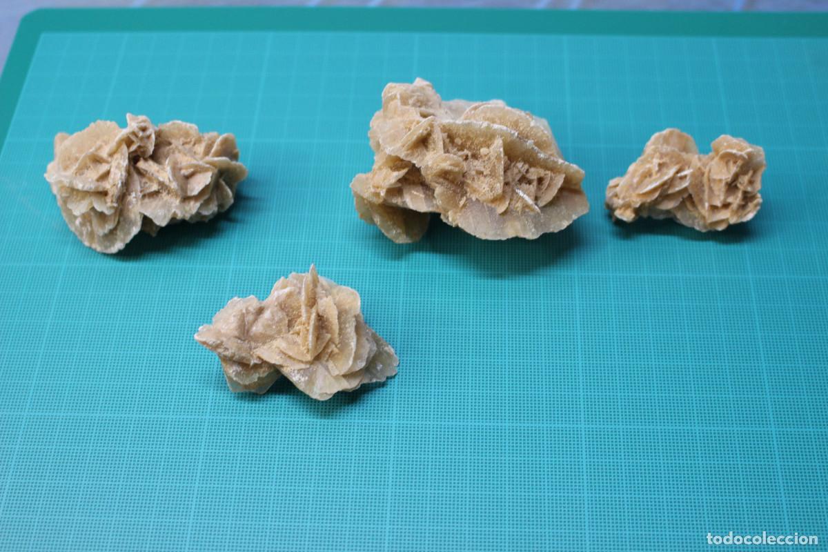 Coleccionismo de minerales: 4 Rosas del Desierto. - Foto 4