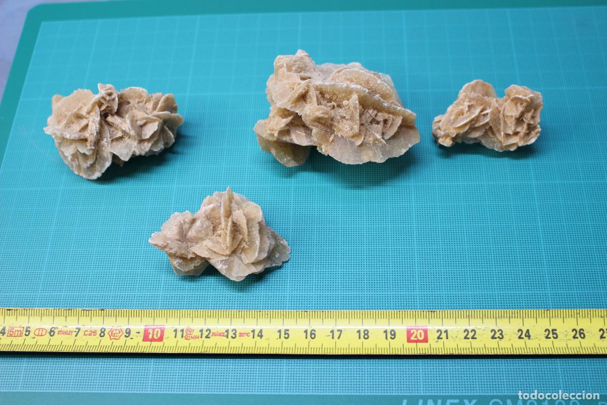 Coleccionismo de minerales: 4 Rosas del Desierto. - Foto 5