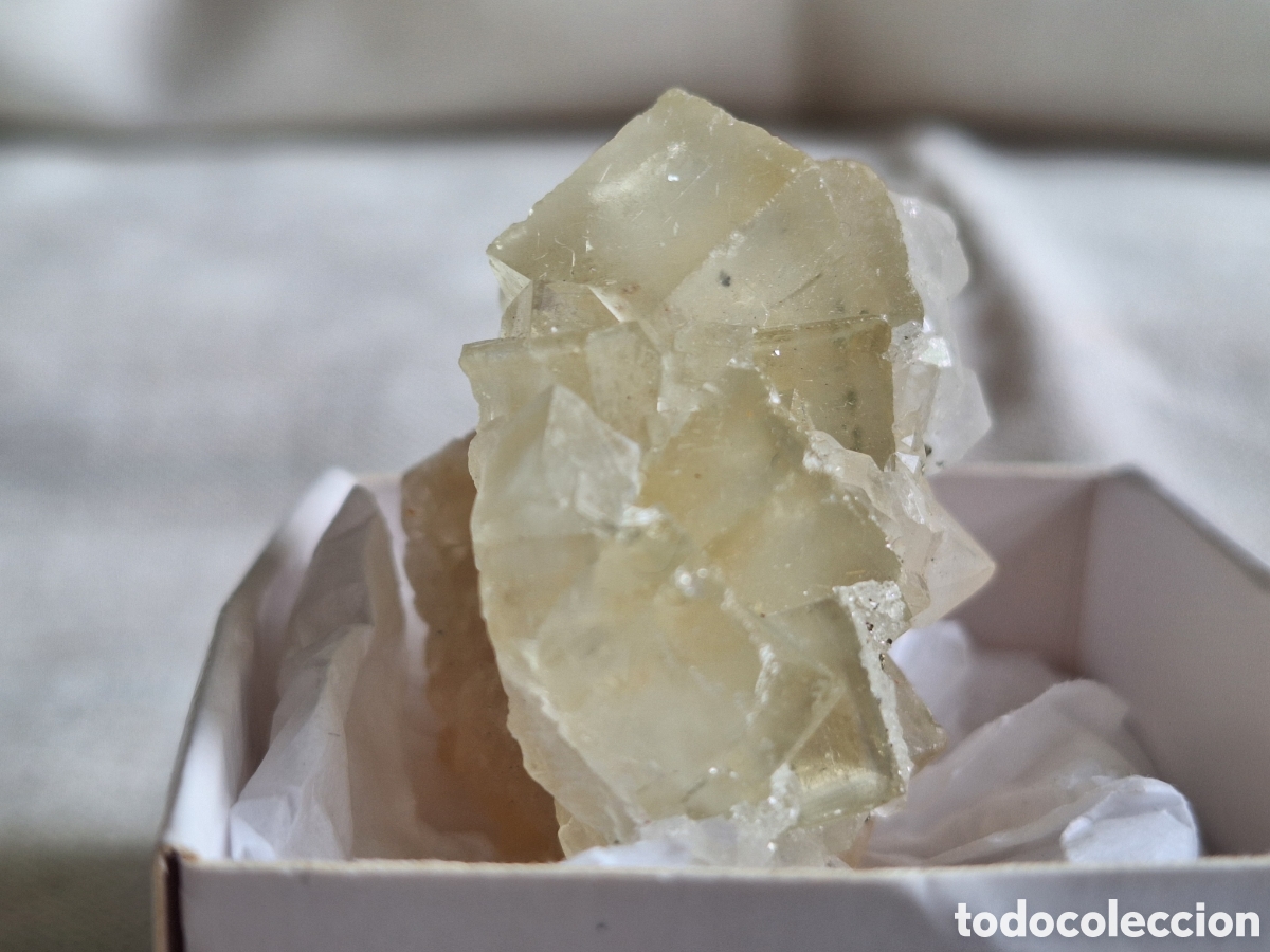 Coleccionismo de minerales: Fluorite, Quartz, Pirite - Foto 2
