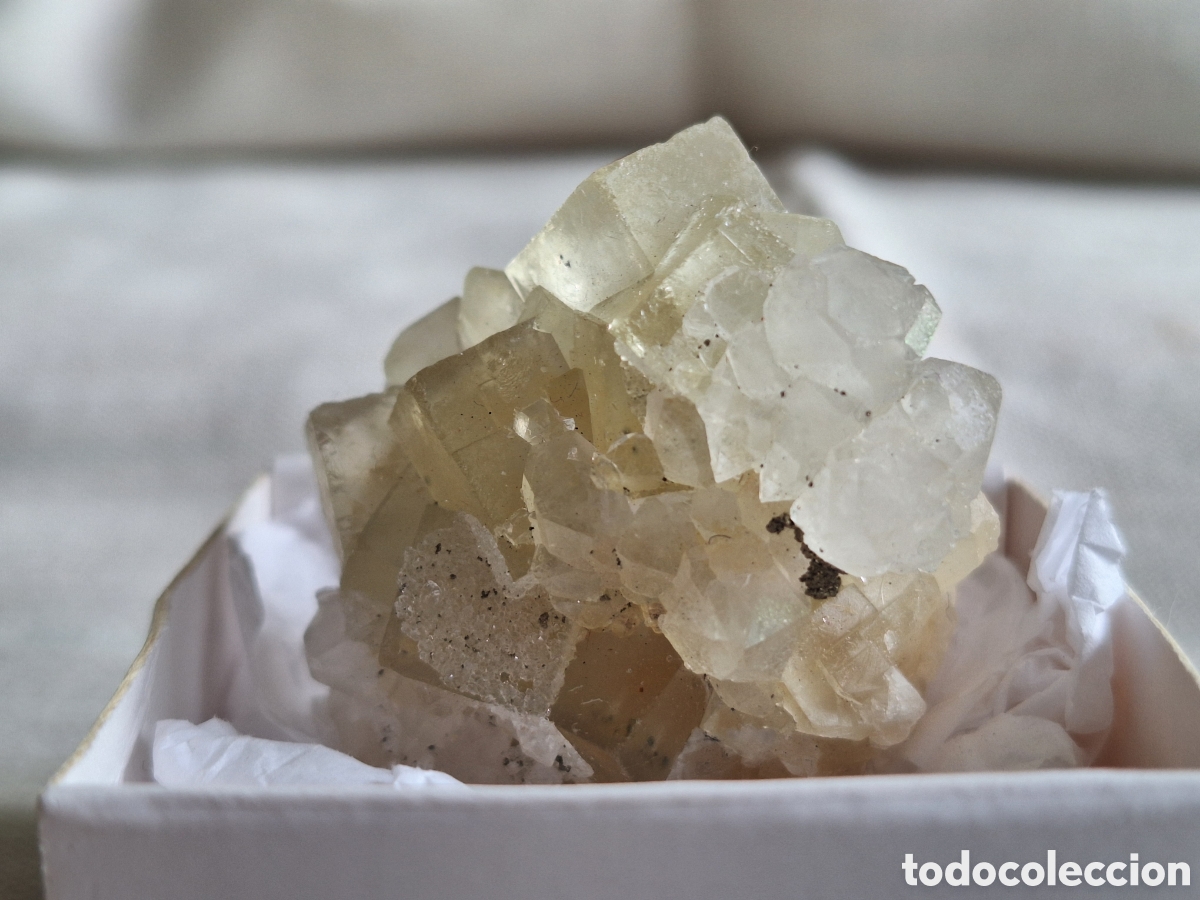 Coleccionismo de minerales: Fluorite, Quartz, Pirite - Foto 4
