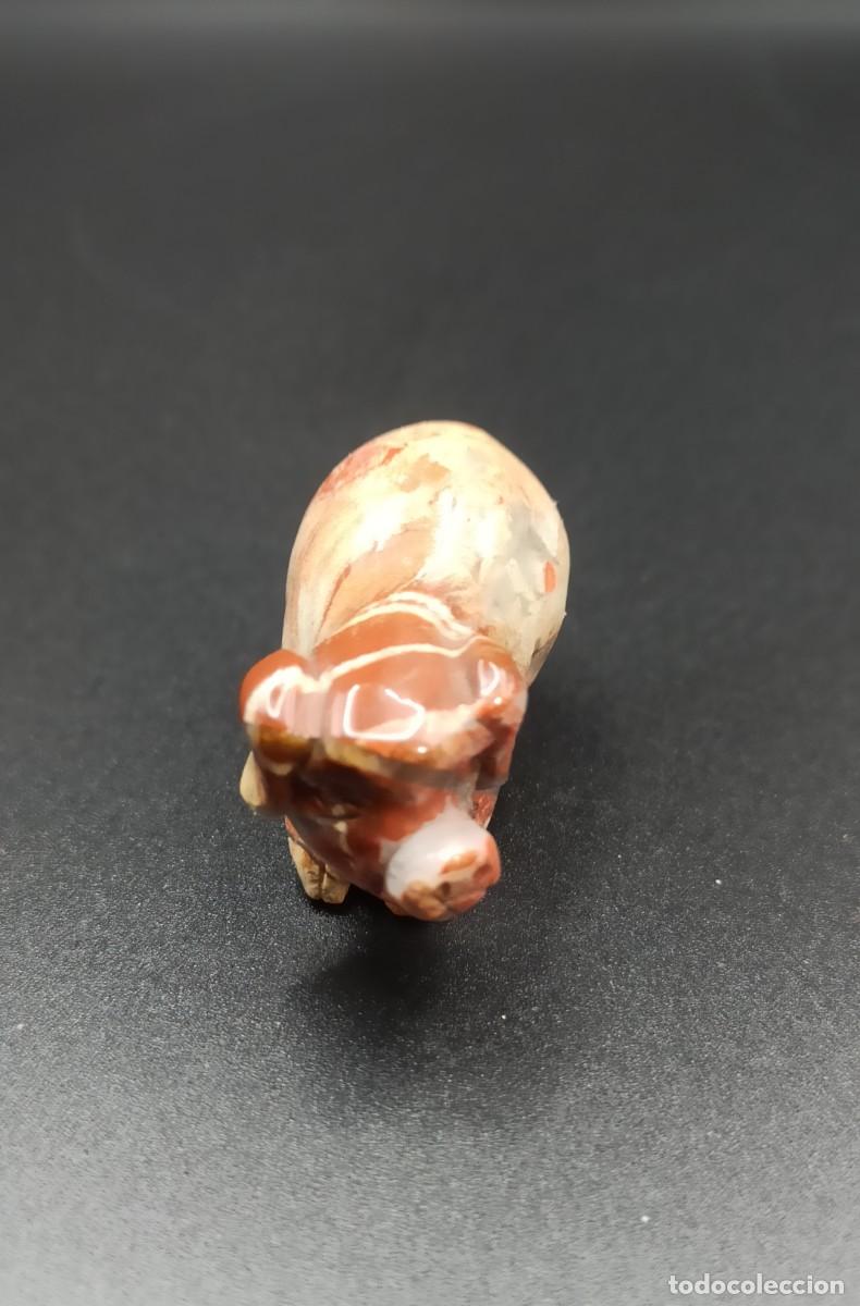 Coleccionismo de minerales: Cerdo mineral jaspe sardo - Foto 1