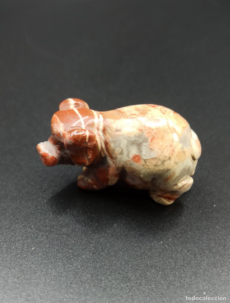 Coleccionismo de minerales: Cerdo mineral jaspe sardo - Foto 2