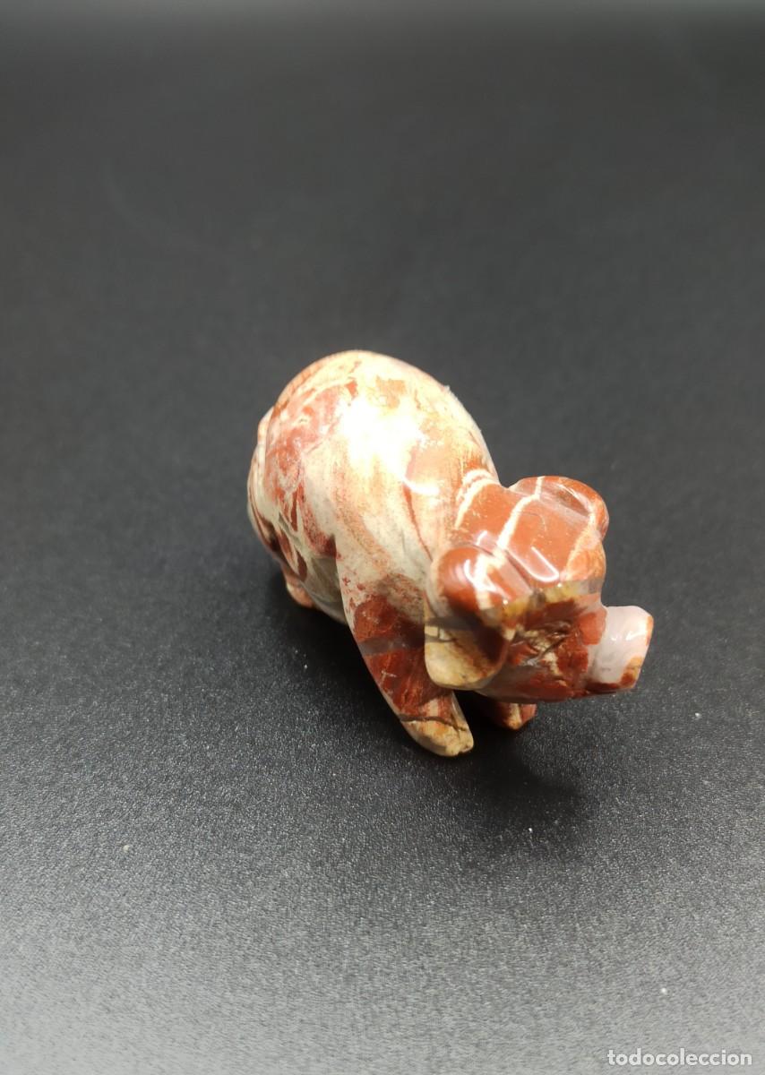 Coleccionismo de minerales: Cerdo mineral jaspe sardo - Foto 3