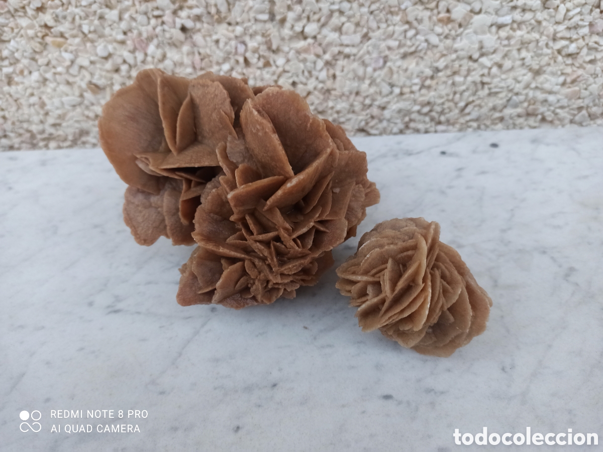 Coleccionismo de minerales: 2 rosas del desierto - Foto 7
