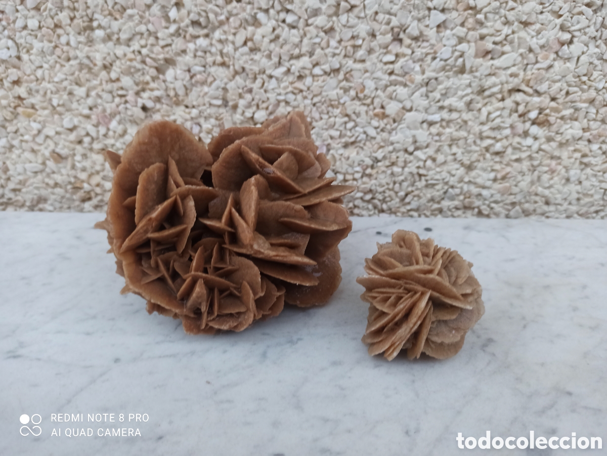 Coleccionismo de minerales: 2 rosas del desierto - Foto 3