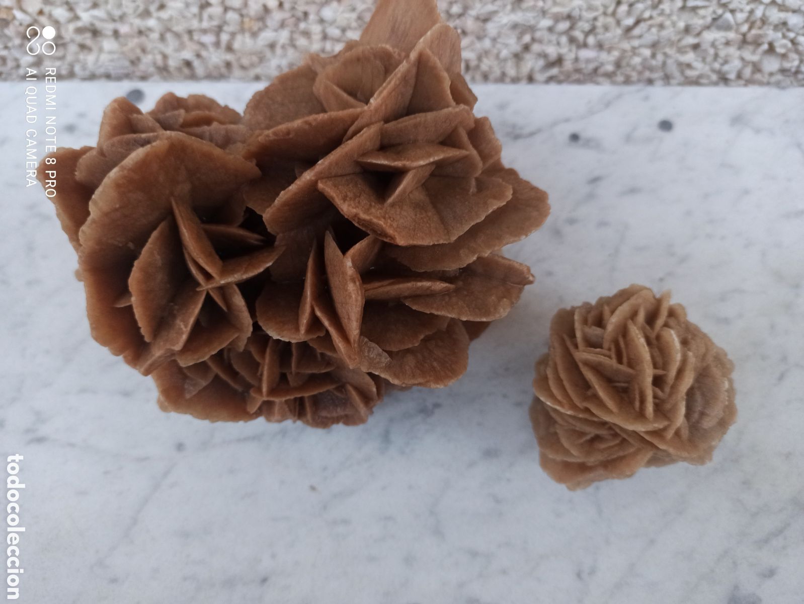 Coleccionismo de minerales: 2 rosas del desierto - Foto 6