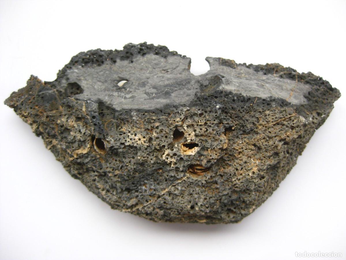 Coleccionismo de minerales: ROCA DOLOMIA CON ALVEOLOS - Foto 1
