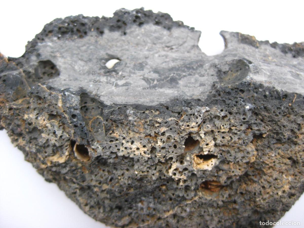 Coleccionismo de minerales: ROCA DOLOMIA CON ALVEOLOS - Foto 2