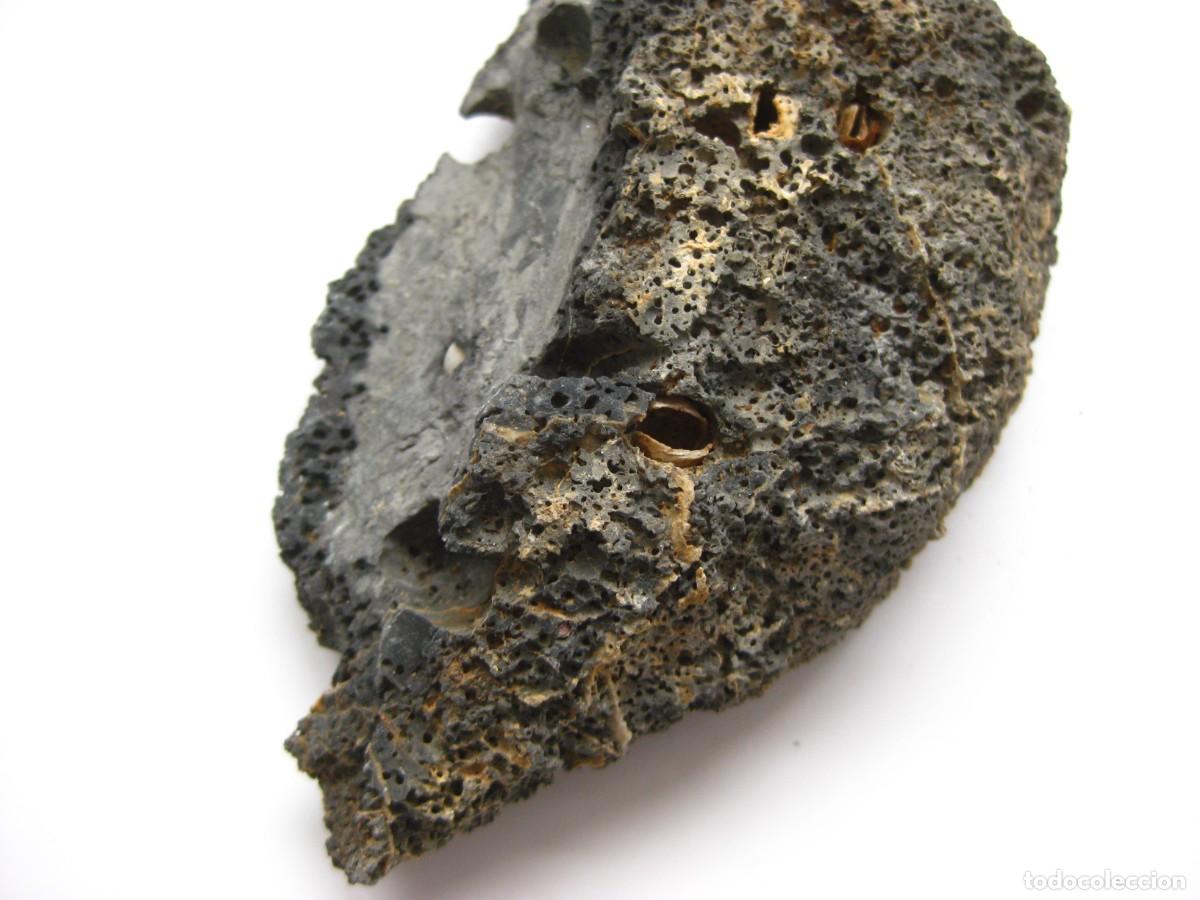 Coleccionismo de minerales: ROCA DOLOMIA CON ALVEOLOS - Foto 4