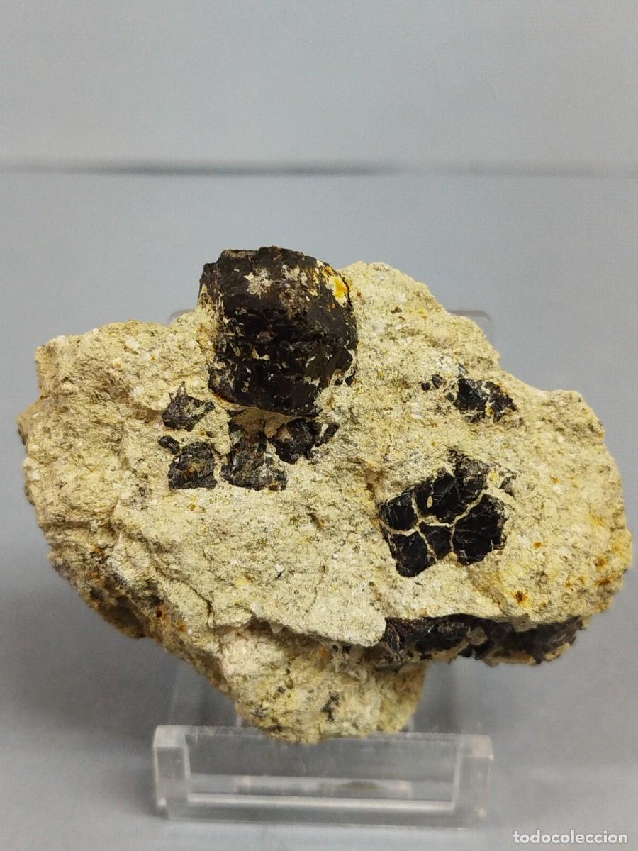 Coleccionismo de minerales: GRANATE MELANITO - Mineral. - Foto 2