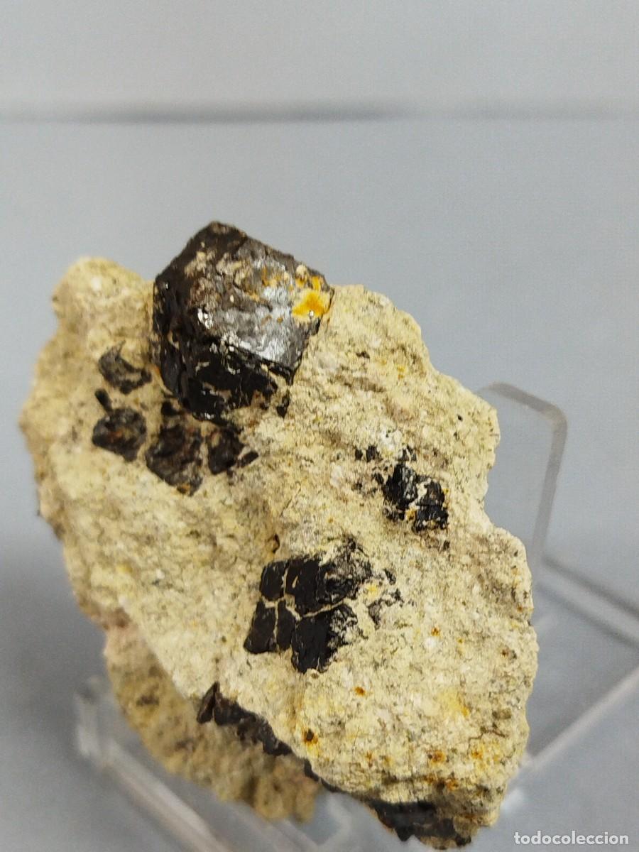 Coleccionismo de minerales: GRANATE MELANITO - Mineral. - Foto 3