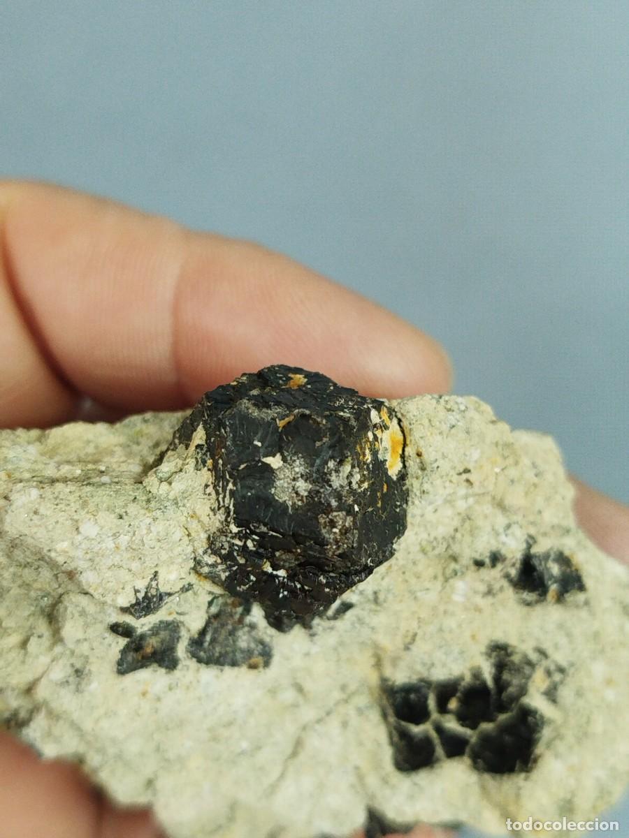 Coleccionismo de minerales: GRANATE MELANITO - Mineral. - Foto 5
