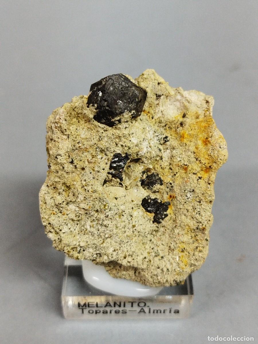 Coleccionismo de minerales: GRANATE MELANITO - Mineral. - Foto 1