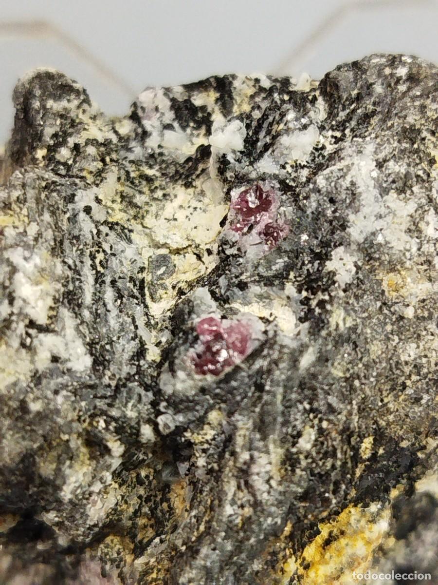 Coleccionismo de minerales: MICA BIOTITA con GRANATES - Foto 2