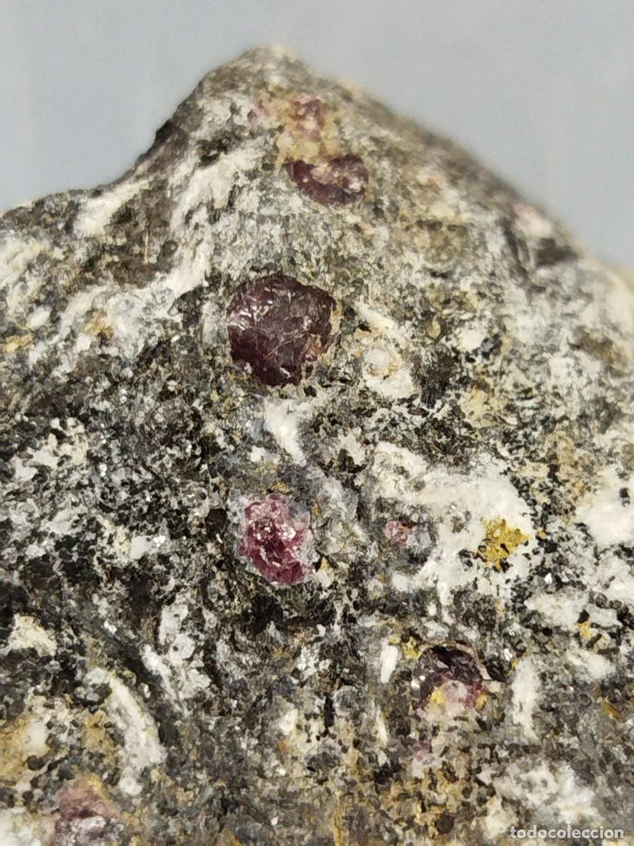 Coleccionismo de minerales: MICA BIOTITA con GRANATES - Foto 3