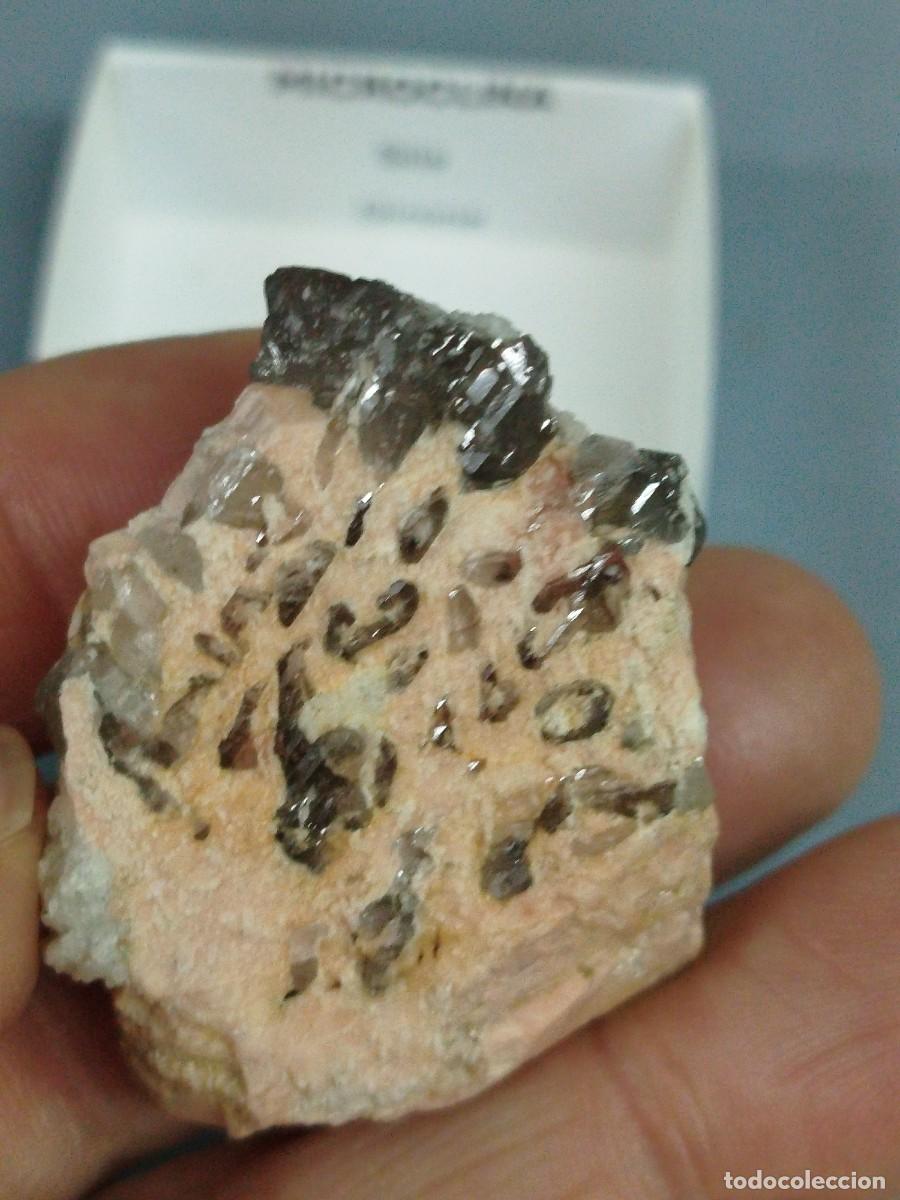 Coleccionismo de minerales: CUARZO sobre MICROCLINA- Mineral. Girona - Foto 4