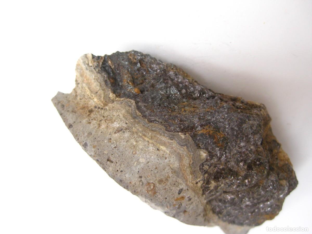 Coleccionismo de minerales: ROCA CALIZA Y BLENDA - Foto 4