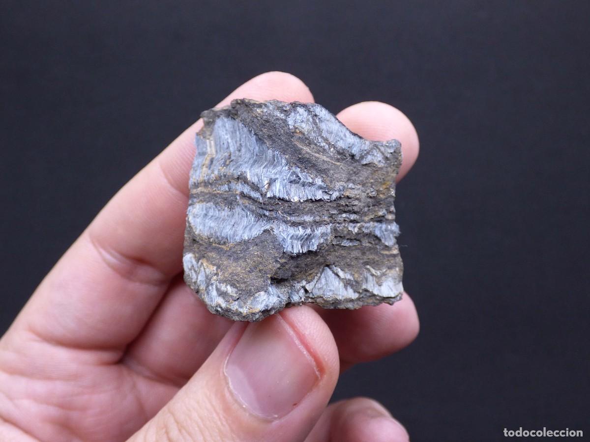 Collectionnisme de min&eacute;raux: ✅FDMINERALS✅ ⚒️ CROCIDOLITA (OJO DE ALC&Oacute;N) ⚒️ Cabo Norte, Sud&aacute;frica - af10