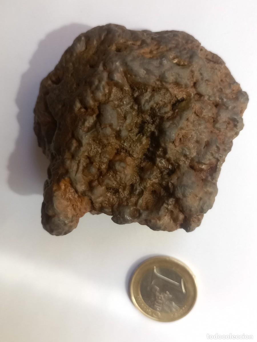 Coleccionismo de minerales: meteorito ferreo 170gm - Foto 1
