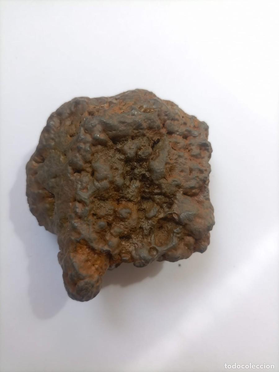 Coleccionismo de minerales: meteorito ferreo 170gm - Foto 2