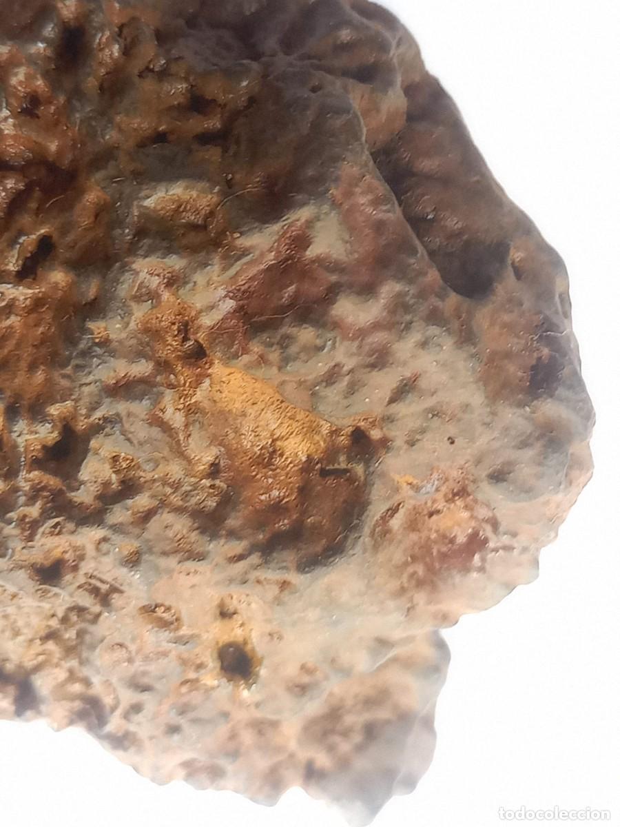 Coleccionismo de minerales: meteorito ferreo 170gm - Foto 3