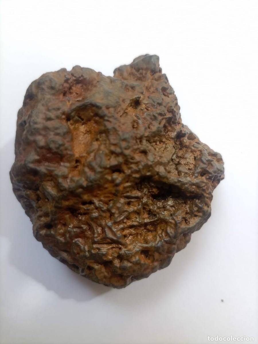 Coleccionismo de minerales: meteorito ferreo 170gm - Foto 4