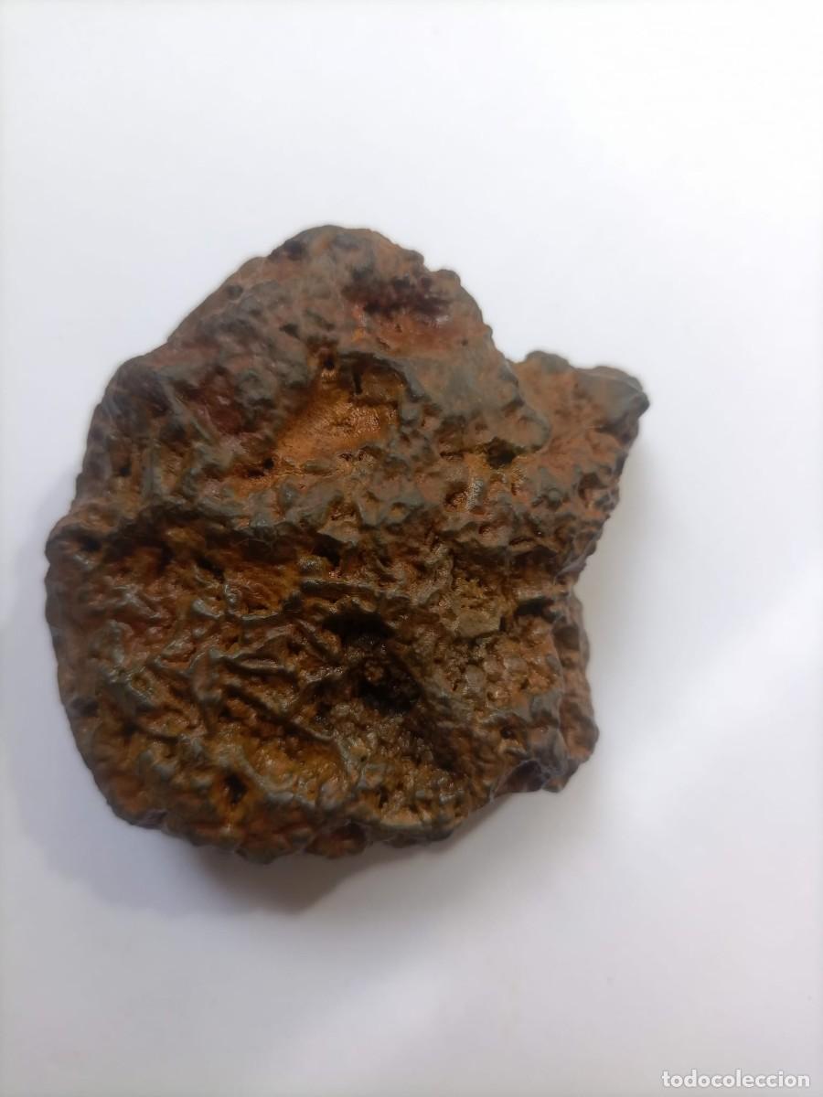 Coleccionismo de minerales: meteorito ferreo 170gm - Foto 5