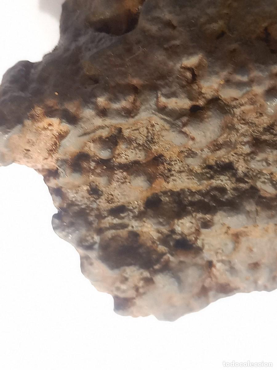 Coleccionismo de minerales: meteorito ferreo 170gm - Foto 6