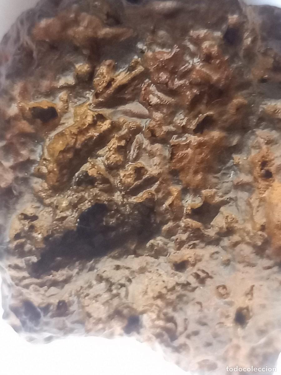 Coleccionismo de minerales: meteorito ferreo 170gm - Foto 7