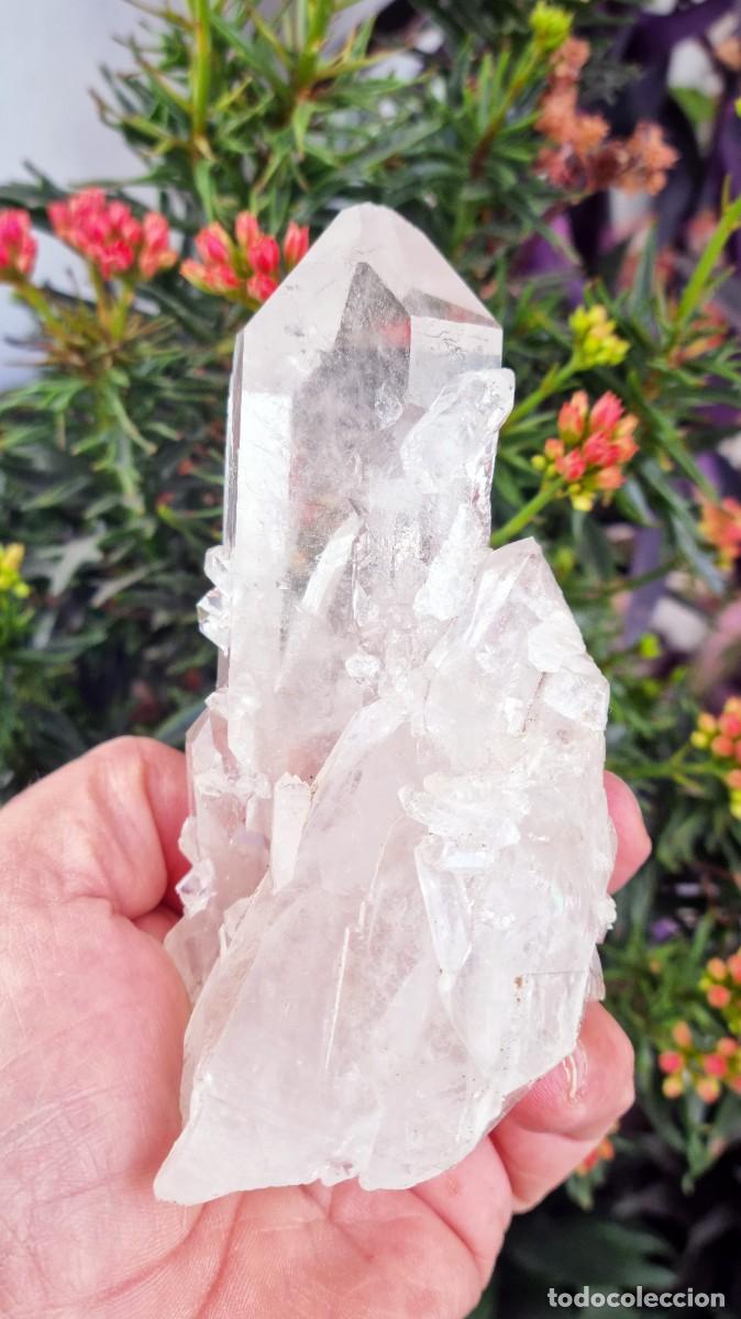 Coleccionismo de minerales: Puntas de cuarzo botrioidal germinado. - Foto 4
