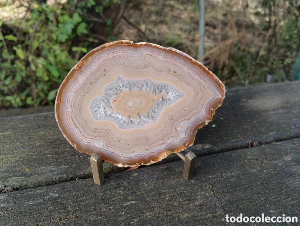 Coleccionismo de minerales: L&Aacute;MINA DE &Aacute;GATA PULIDA MARRON. - Foto 2