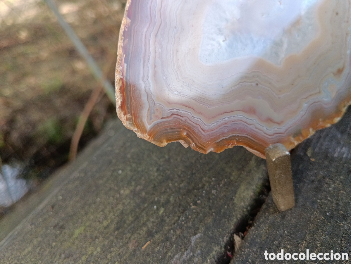 Coleccionismo de minerales: L&Aacute;MINA DE &Aacute;GATA PULIDA MARRON. - Foto 6