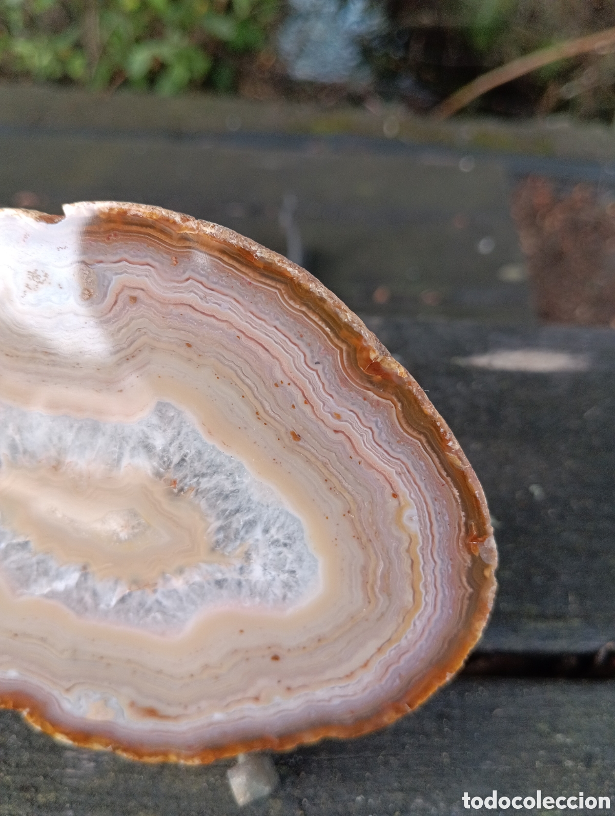 Coleccionismo de minerales: L&Aacute;MINA DE &Aacute;GATA PULIDA MARRON. - Foto 7