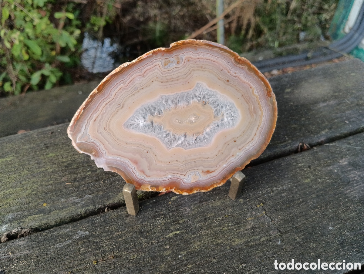 Coleccionismo de minerales: L&Aacute;MINA DE &Aacute;GATA PULIDA MARRON. - Foto 9