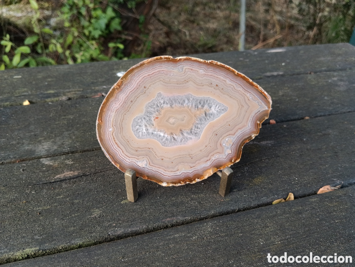 Coleccionismo de minerales: L&Aacute;MINA DE &Aacute;GATA PULIDA MARRON. - Foto 1
